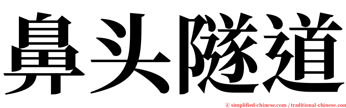 鼻头隧道 serif font