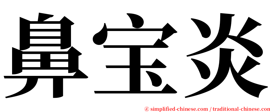 鼻宝炎 serif font