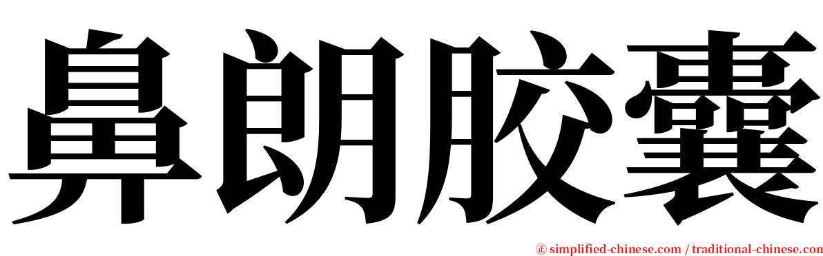 鼻朗胶囊 serif font