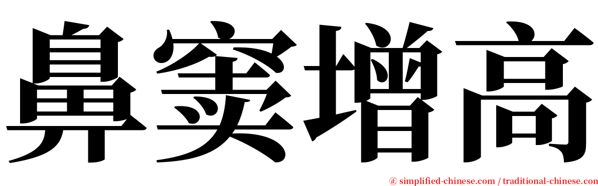 鼻窦增高 serif font
