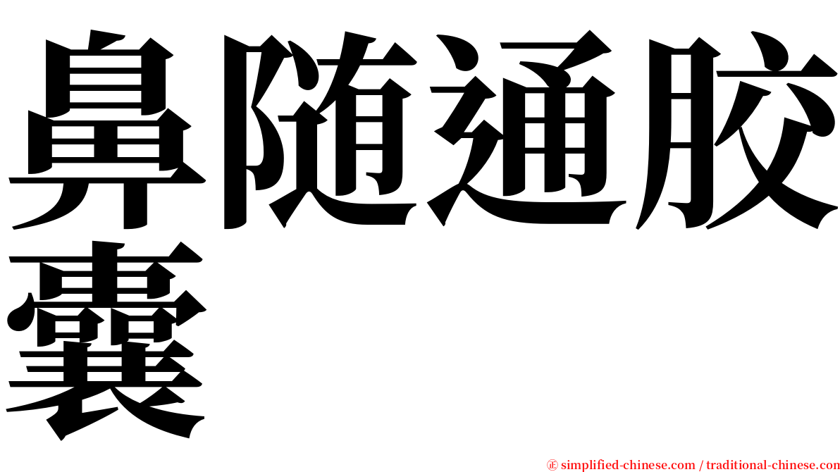 鼻随通胶囊 serif font