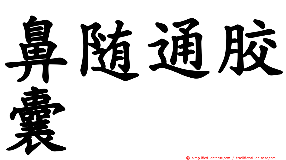 鼻随通胶囊