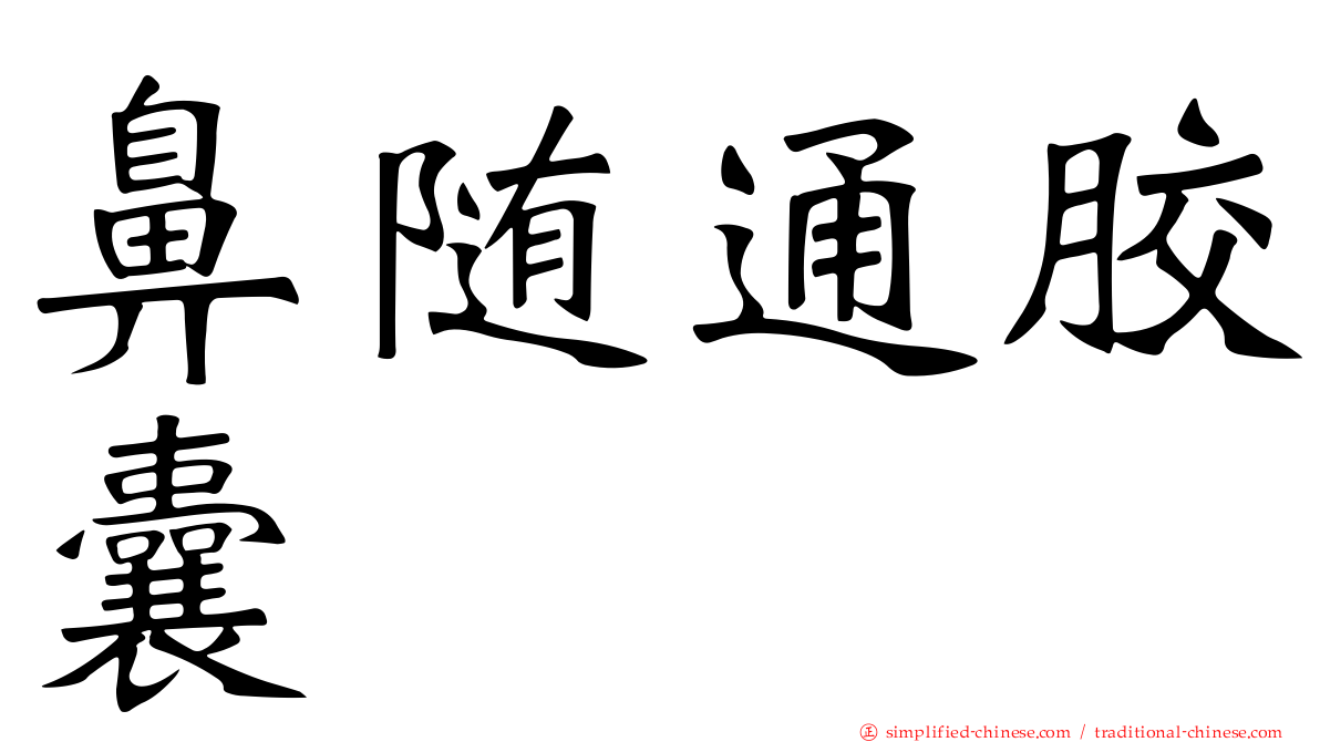 鼻随通胶囊