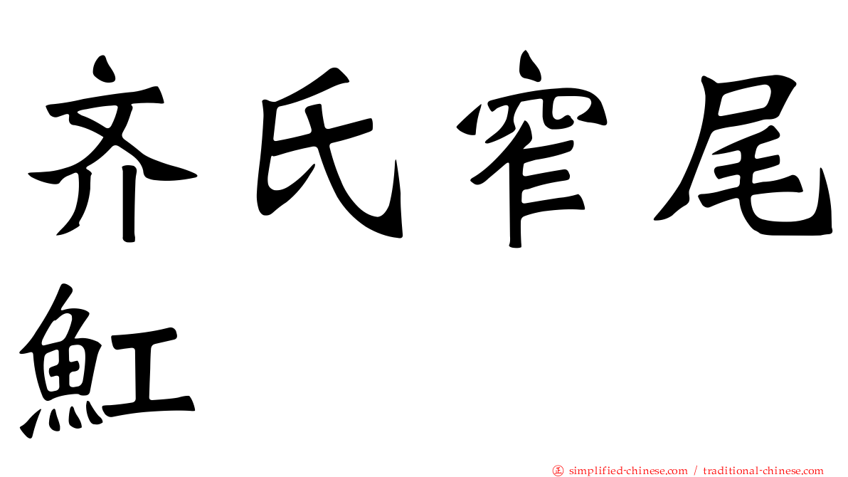 齐氏窄尾𫚉