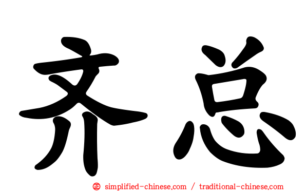 齐总