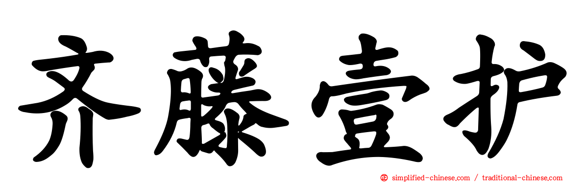 齐藤壹护