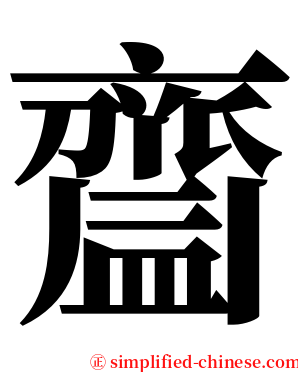 齍 serif font
