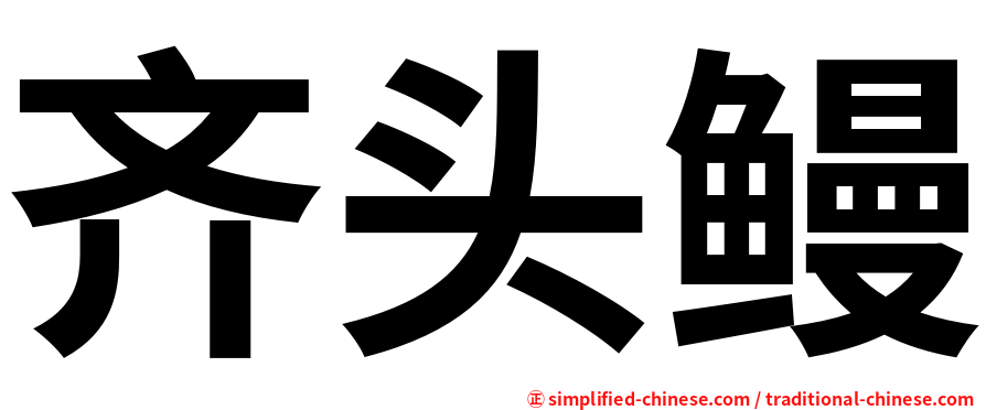 齐头鳗