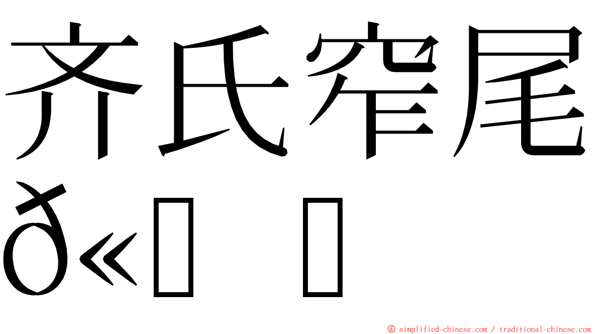 齐氏窄尾𫚉 ming font