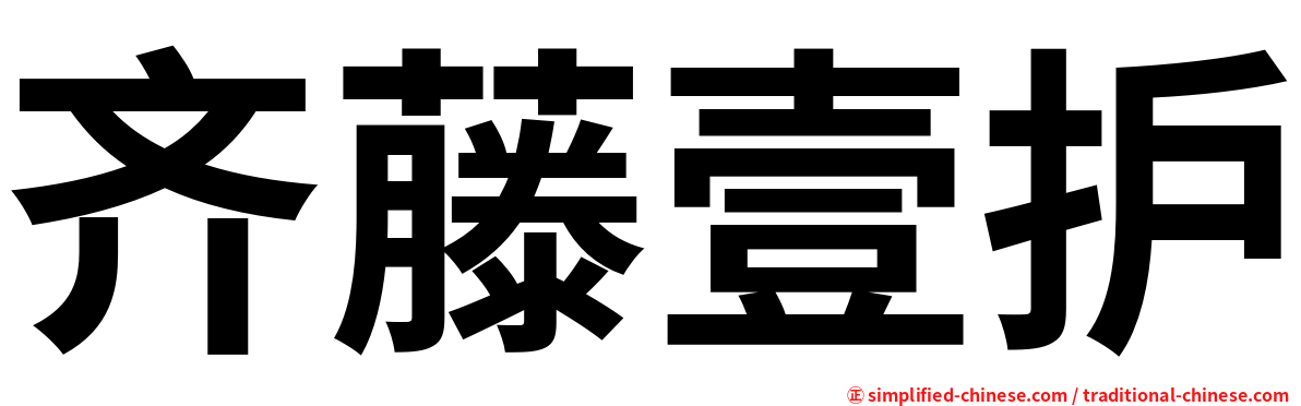 齐藤壹护