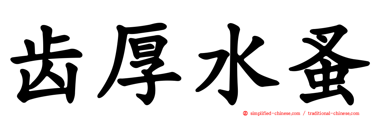 齿厚水蚤