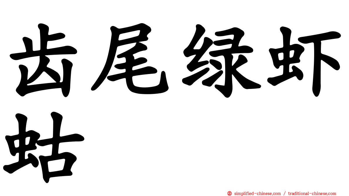 齿尾绿虾蛄