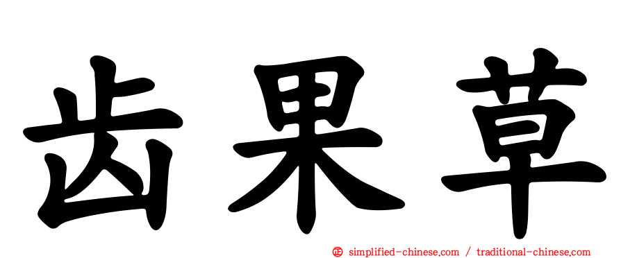 齿果草