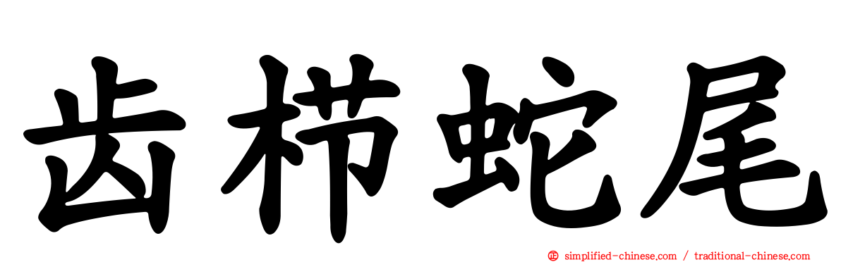 齿栉蛇尾