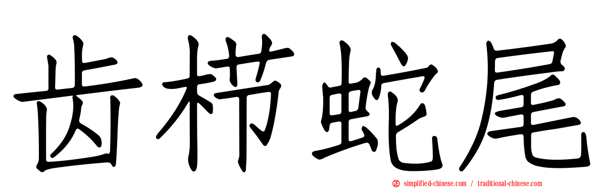 齿栉蛇尾