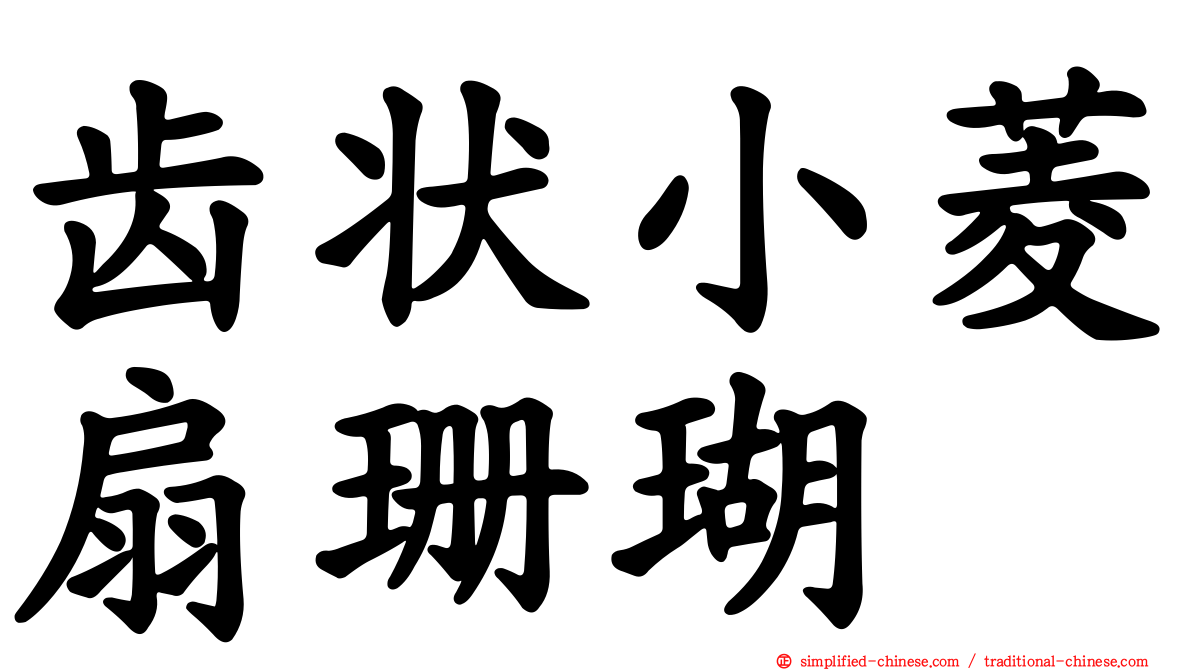 齿状小菱扇珊瑚