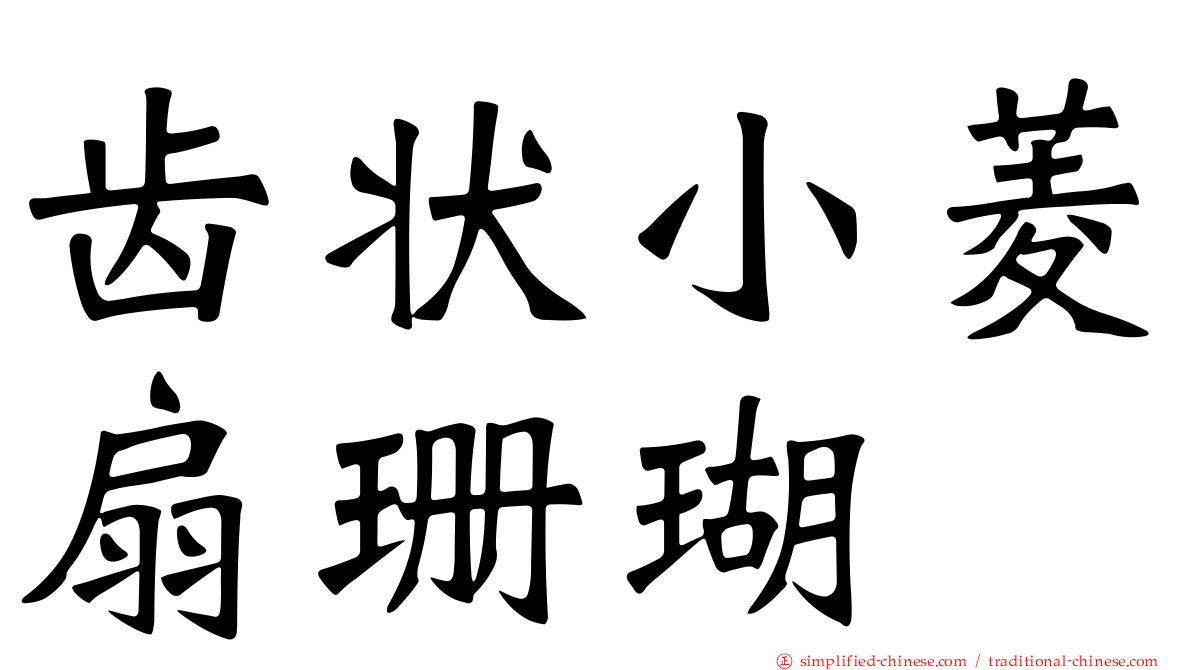 齿状小菱扇珊瑚