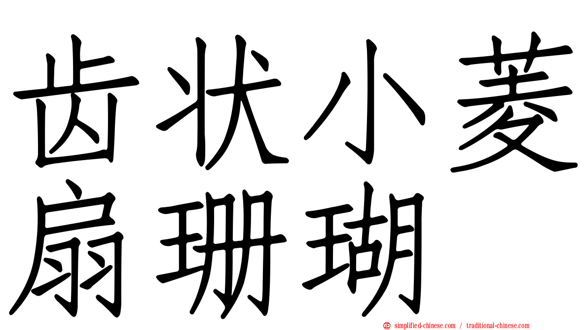 齿状小菱扇珊瑚