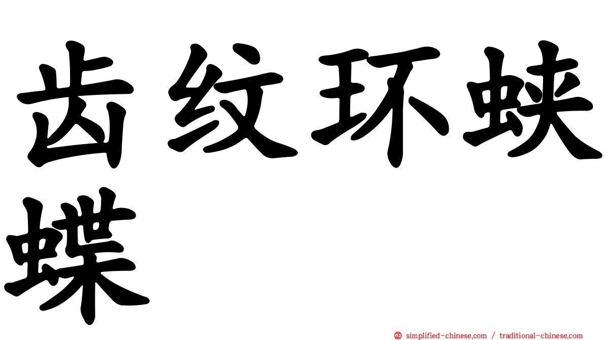 齿纹环蛱蝶