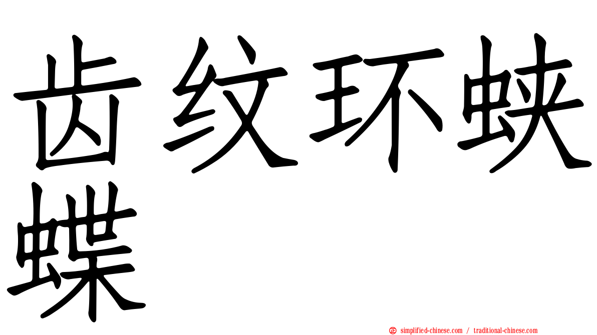 齿纹环蛱蝶
