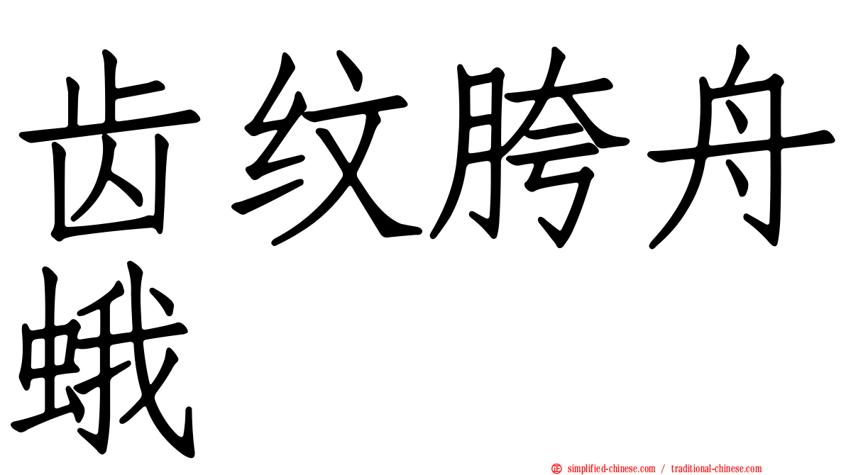 齿纹胯舟蛾