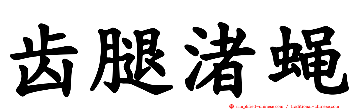 齿腿渚蝇