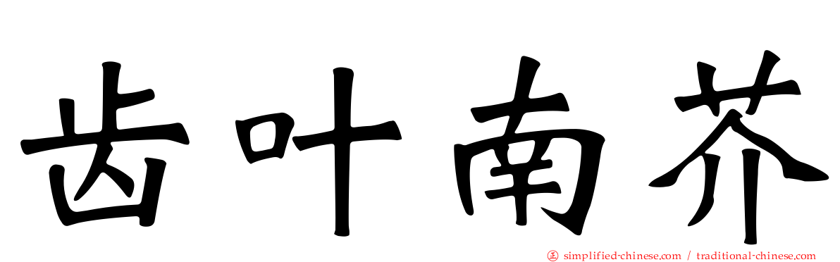 齿叶南芥