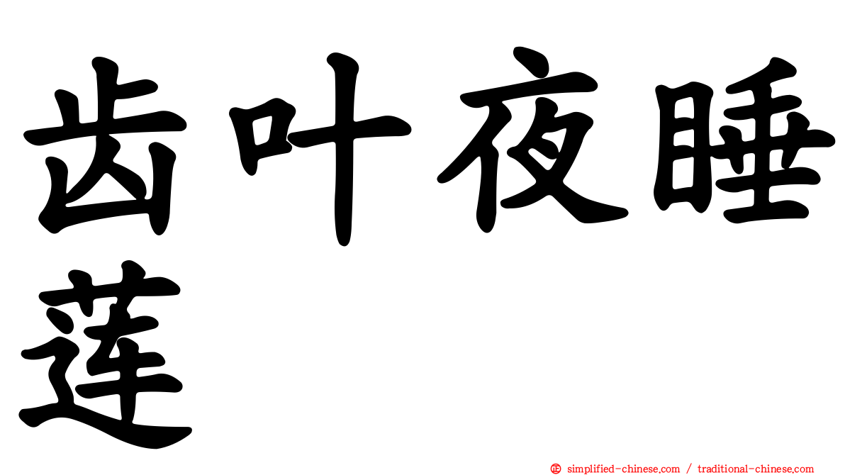 齿叶夜睡莲