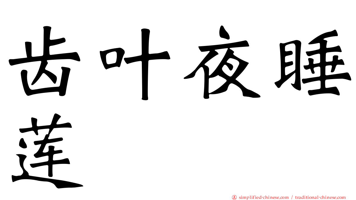 齿叶夜睡莲