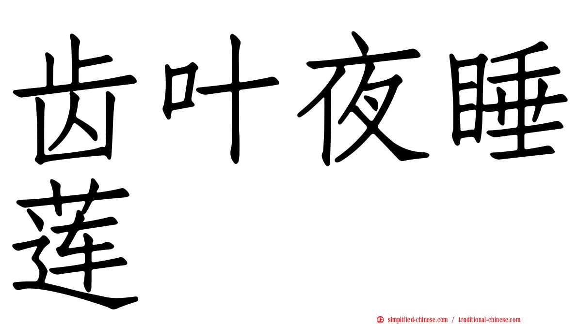齿叶夜睡莲