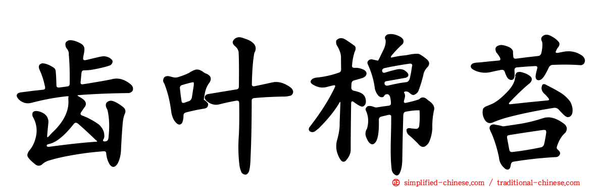 齿叶棉苔
