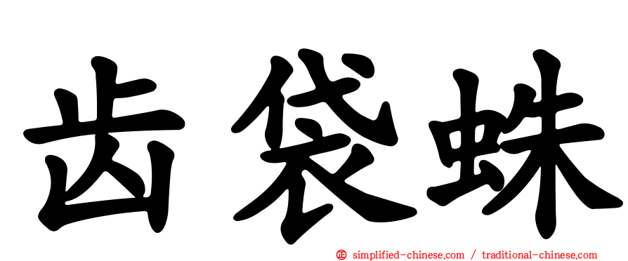 齿袋蛛