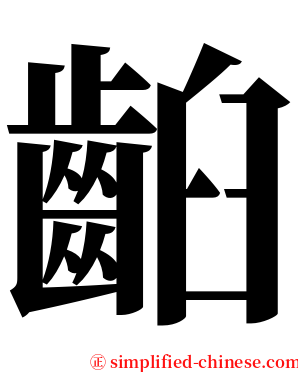 齨 serif font