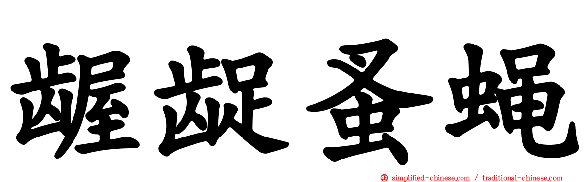 龌龊蚤蝇