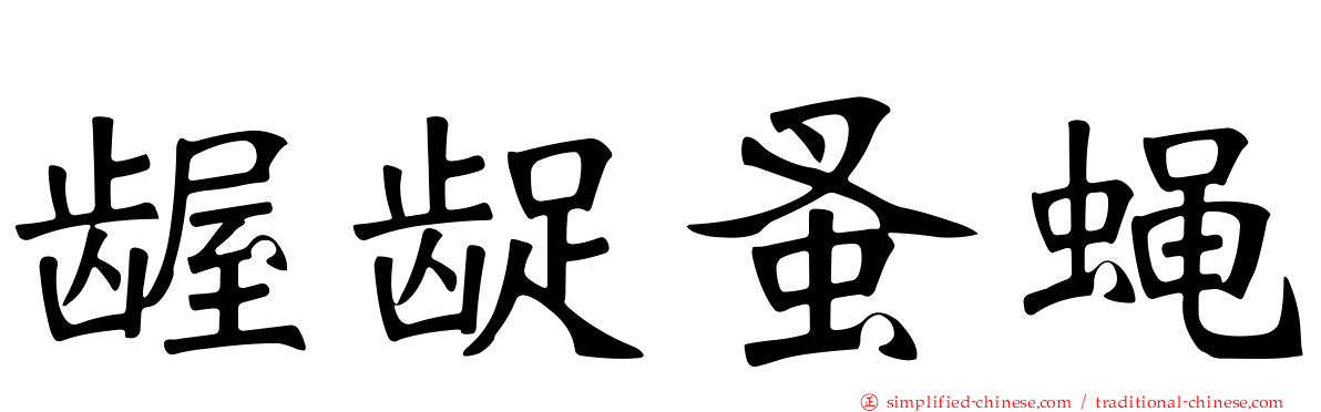 龌龊蚤蝇
