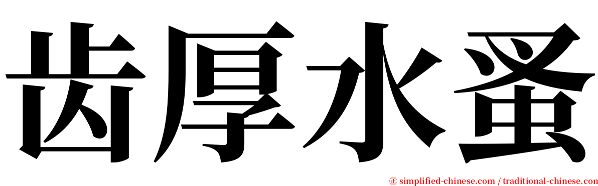 齿厚水蚤 serif font