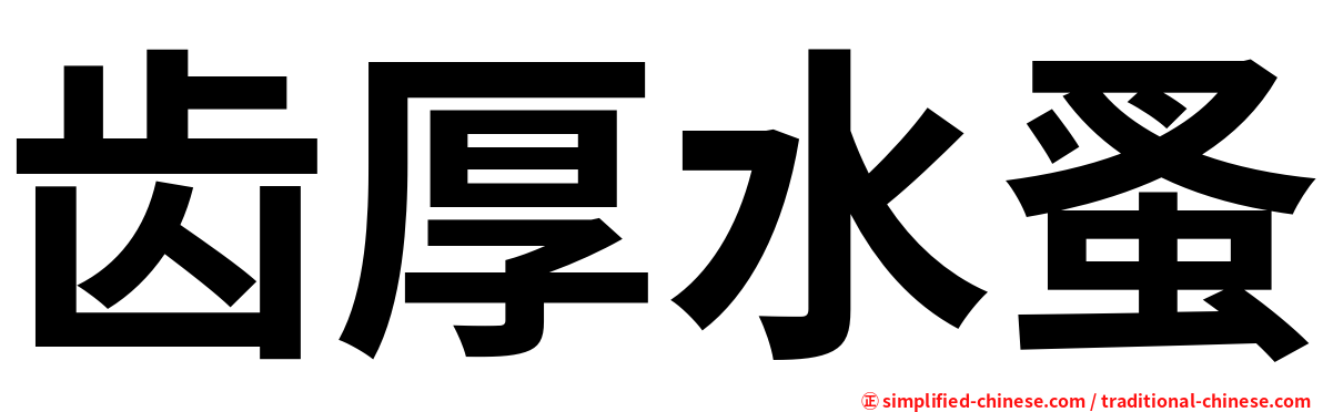 齿厚水蚤
