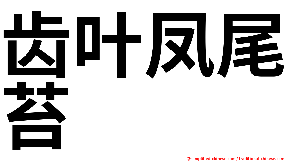 齿叶凤尾苔