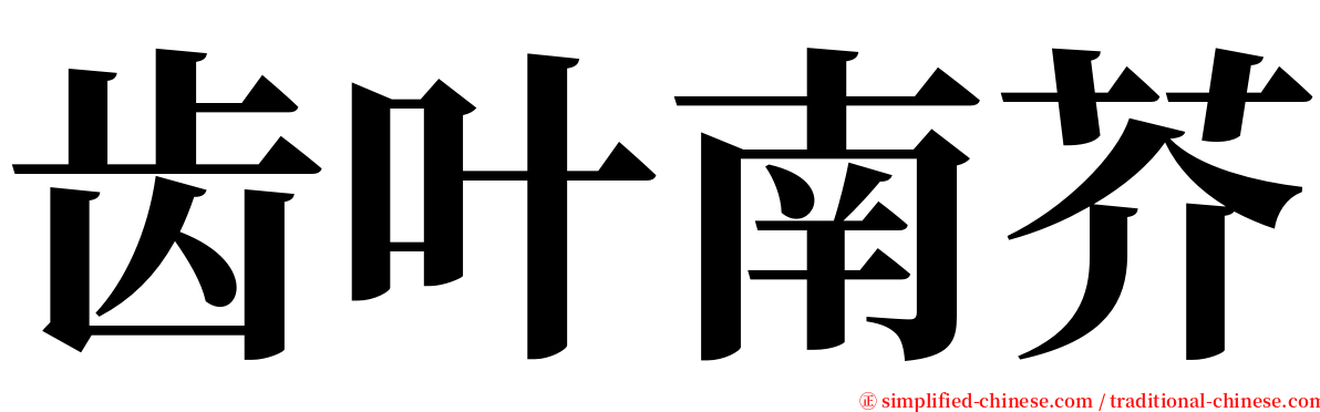 齿叶南芥 serif font