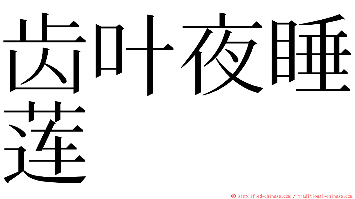 齿叶夜睡莲 ming font