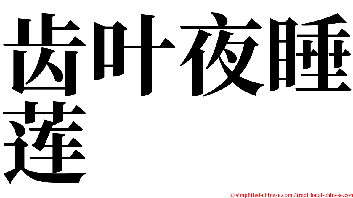 齿叶夜睡莲 serif font
