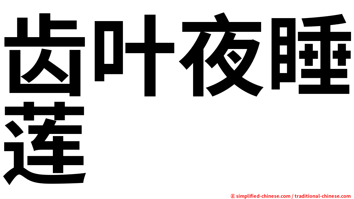 齿叶夜睡莲