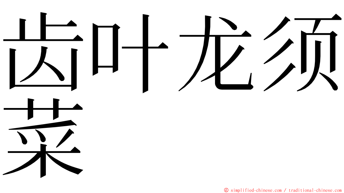 齿叶龙须菜 ming font