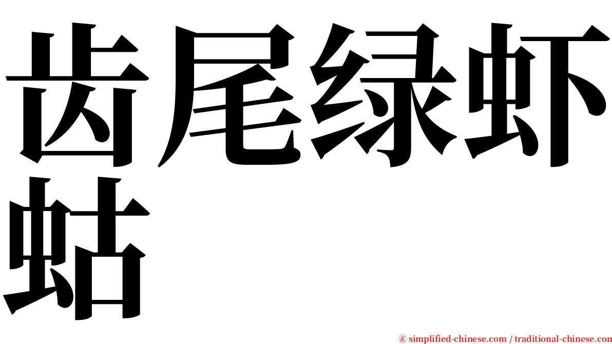 齿尾绿虾蛄 serif font