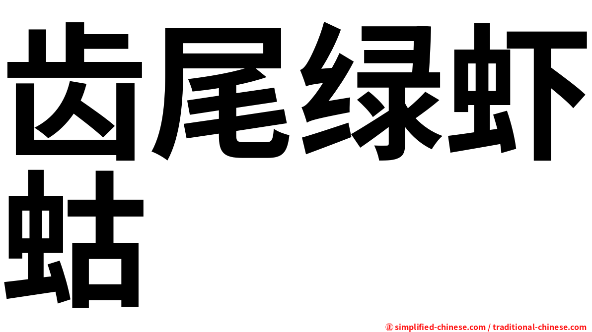 齿尾绿虾蛄