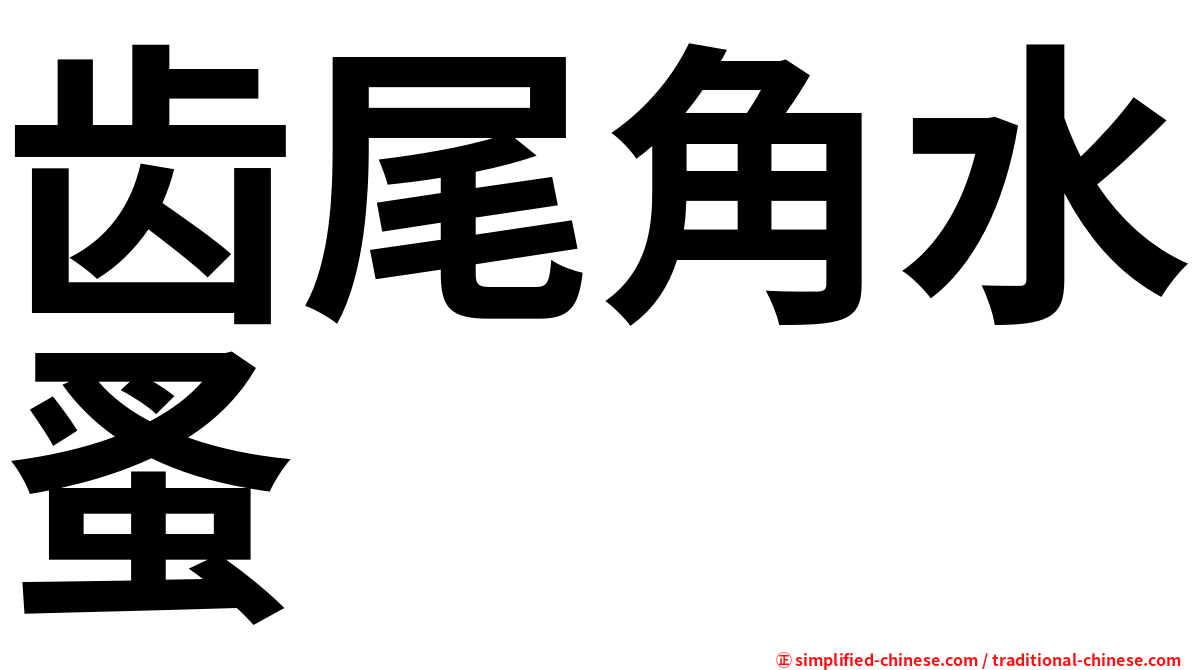 齿尾角水蚤