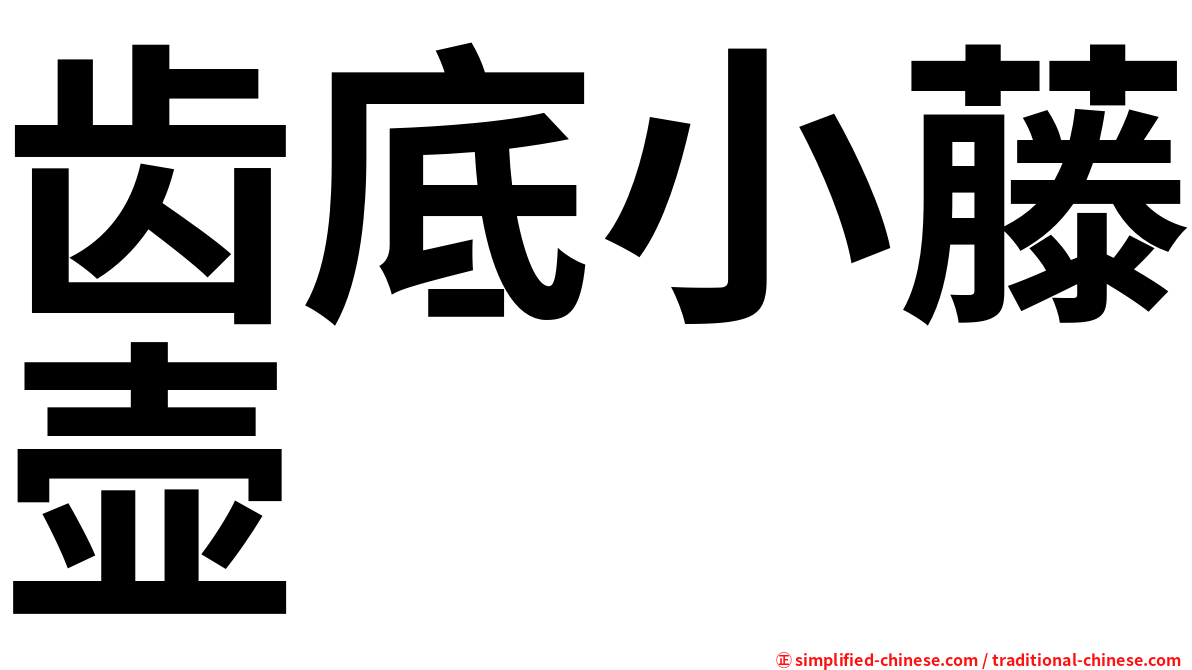 齿底小藤壶