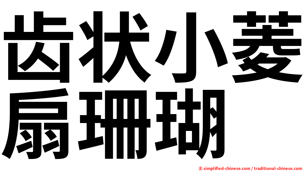齿状小菱扇珊瑚