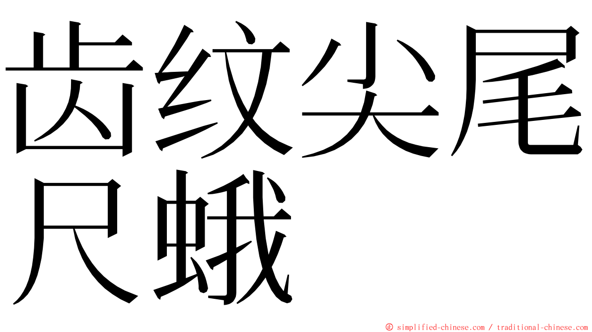 齿纹尖尾尺蛾 ming font