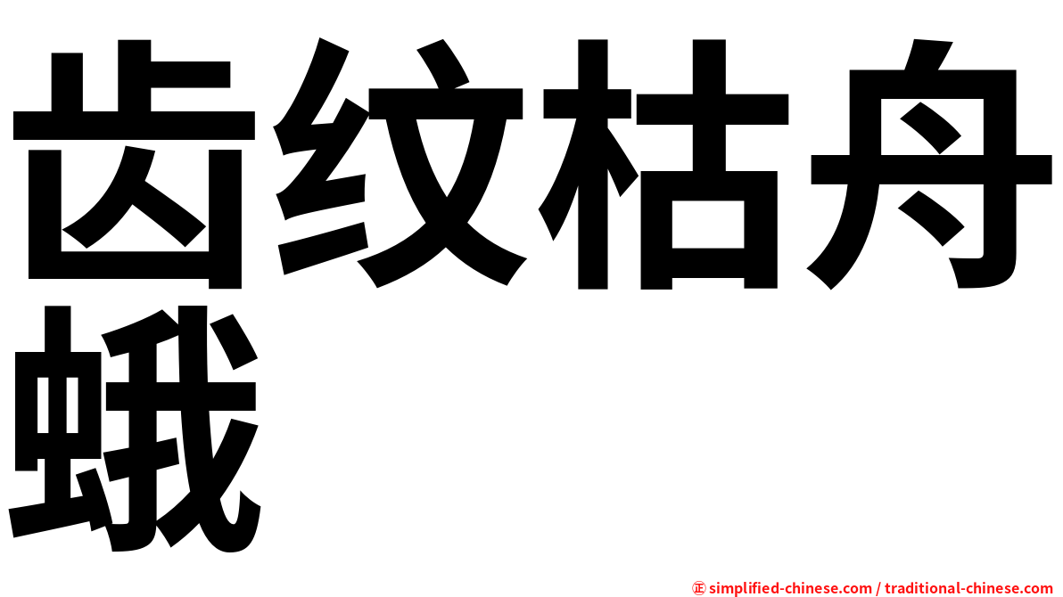 齿纹枯舟蛾